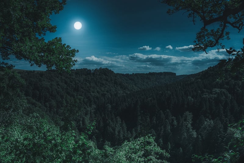 Moon Love